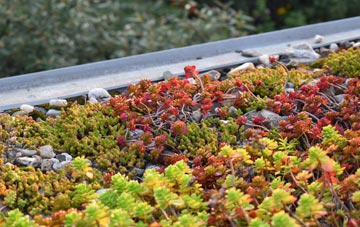the cost of Cardiff green roof installation