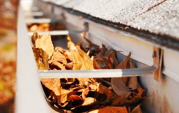 Cardiff gutter cleaning companies