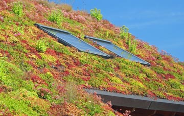 Cardiff living roof systems