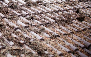 Cardiff roof cleaning companies